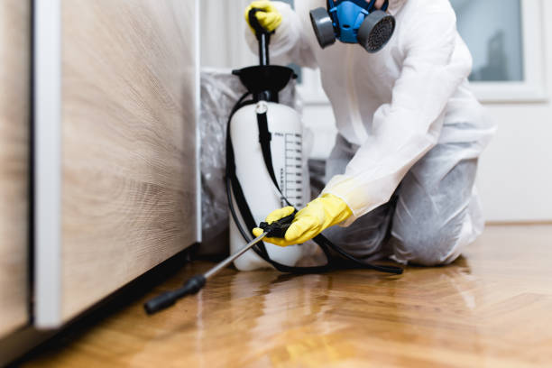Best Rat Extermination Near Me  in Rossmoor, CA