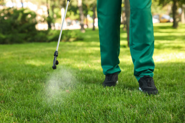 Best Bed Bug Extermination  in Rossmoor, CA