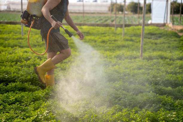 Best Emergency Pest Control  in Rossmoor, CA