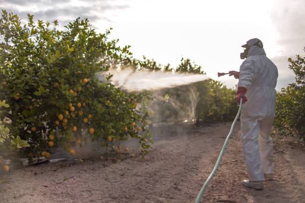 Best Wildlife Control Services  in Rossmoor, CA