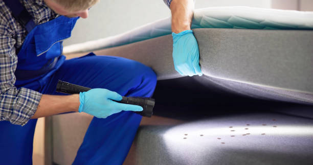 Best Affordable Pest Control Services  in Rossmoor, CA