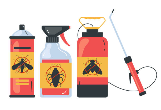 Professional Pest Control in Rossmoor, CA