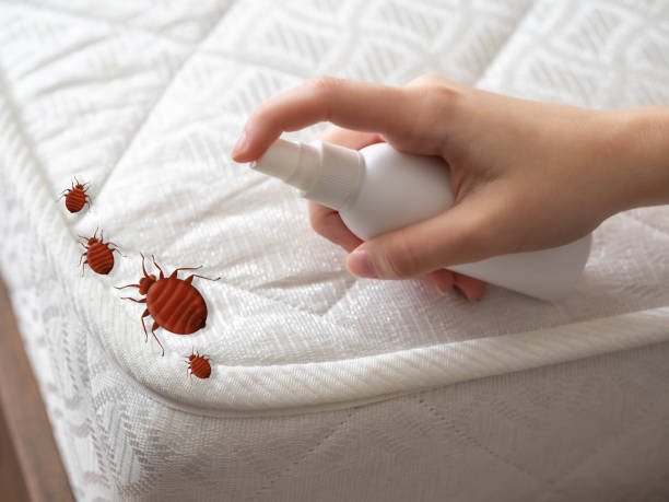 Pest Control for Restaurants in Rossmoor, CA