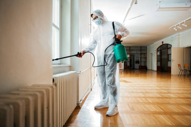 Best Flea Control Services  in Rossmoor, CA